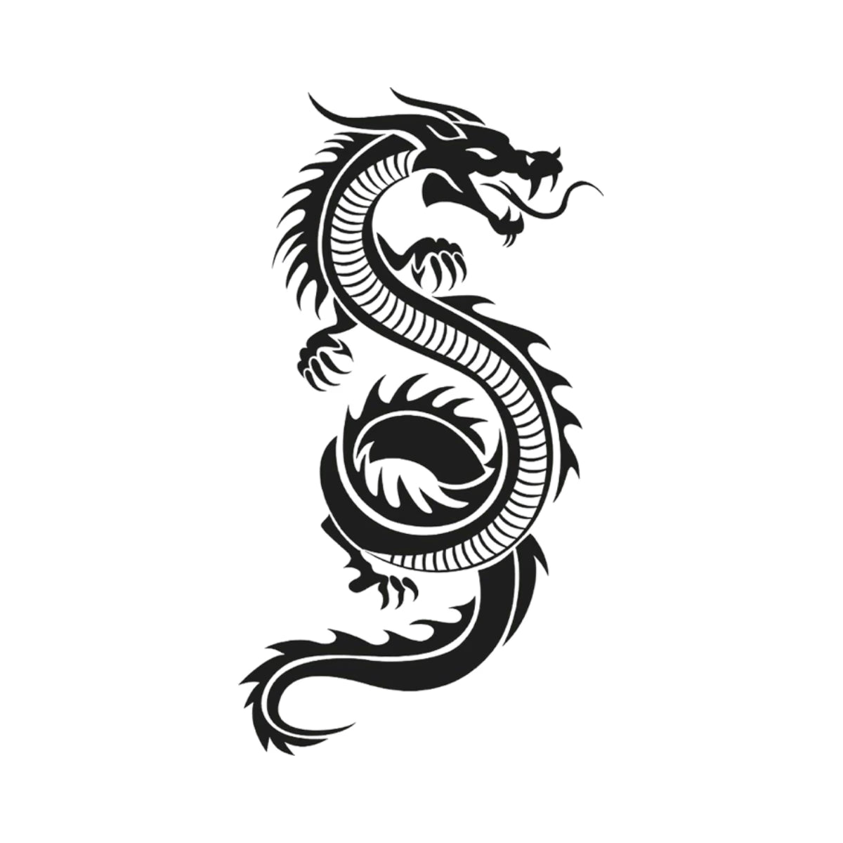 Rogue Dragon