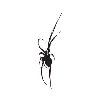 Phantom Spider