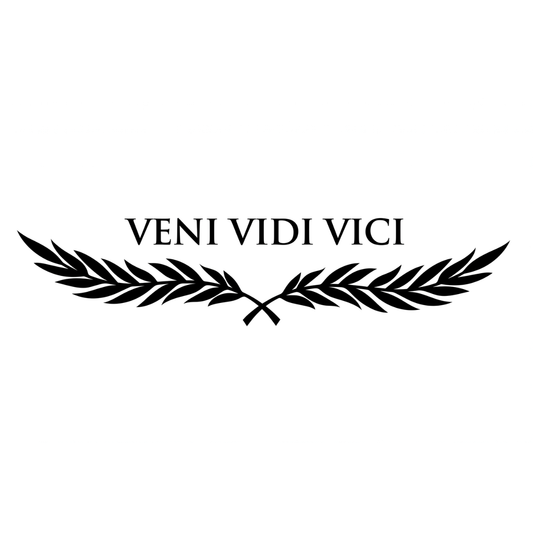Veni Vidi Vici