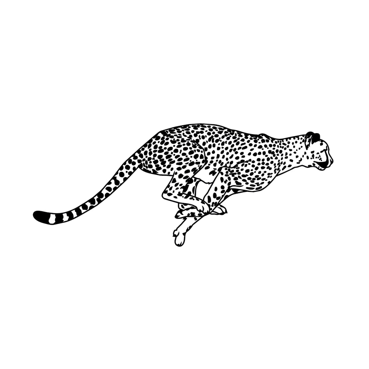 Cheetah Sprint semi-permanent tattoo