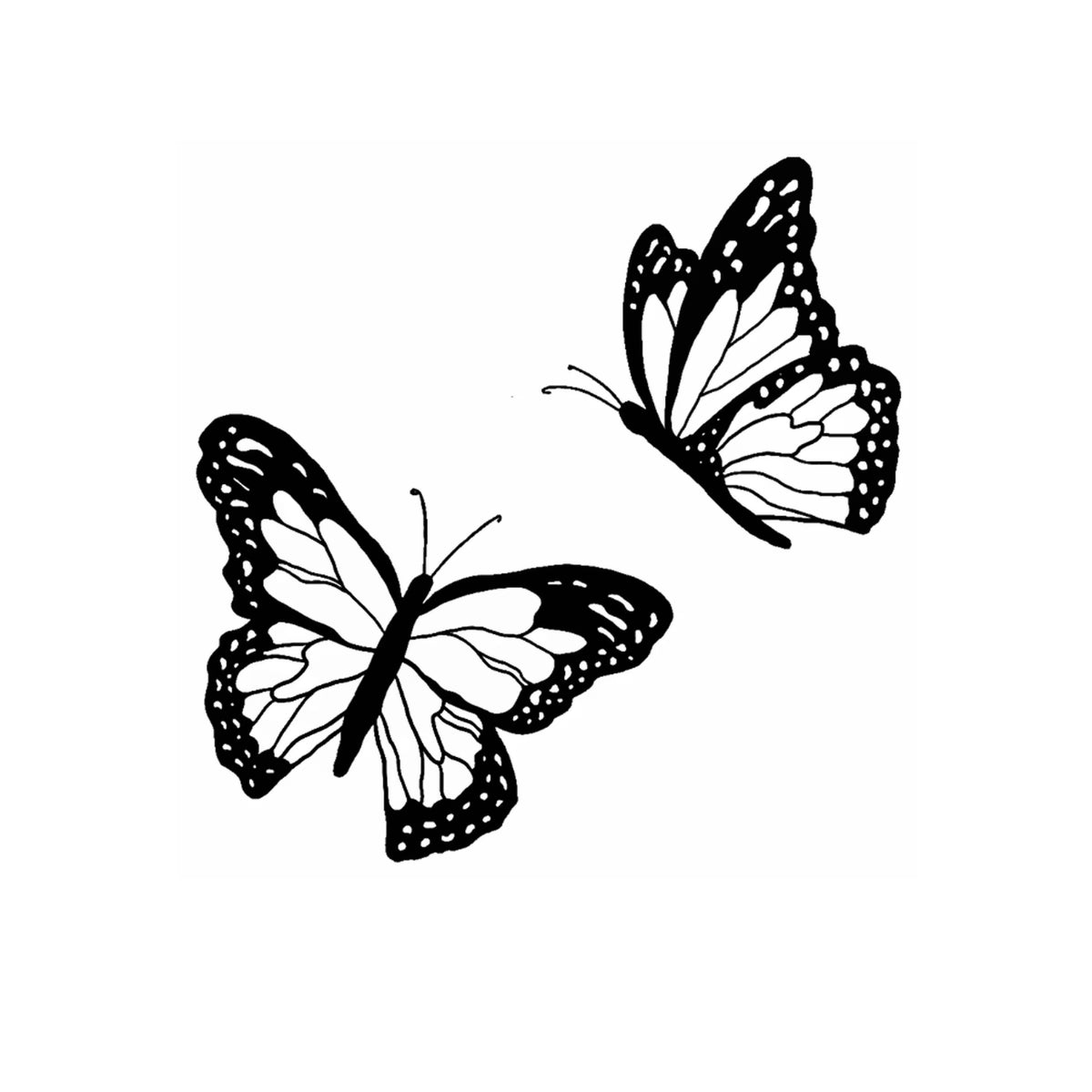 Twin Butterfly