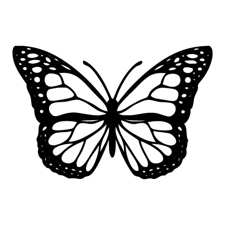 Butterfly Semi-Permanent Tattoo