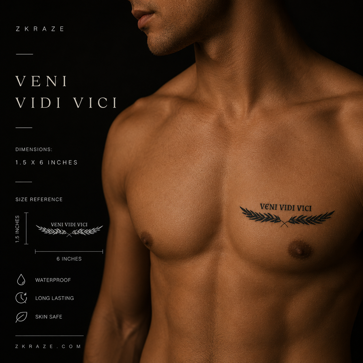 Veni Vidi Vici
